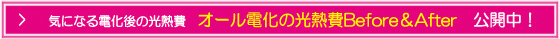 �C�ɂȂ�d����̌��M��@�I�[���d���̌��M��Before��After���J���I